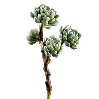 Bring natural beauty to your decor with this vibrant green faux succulent Hen and Chicks Pick! 