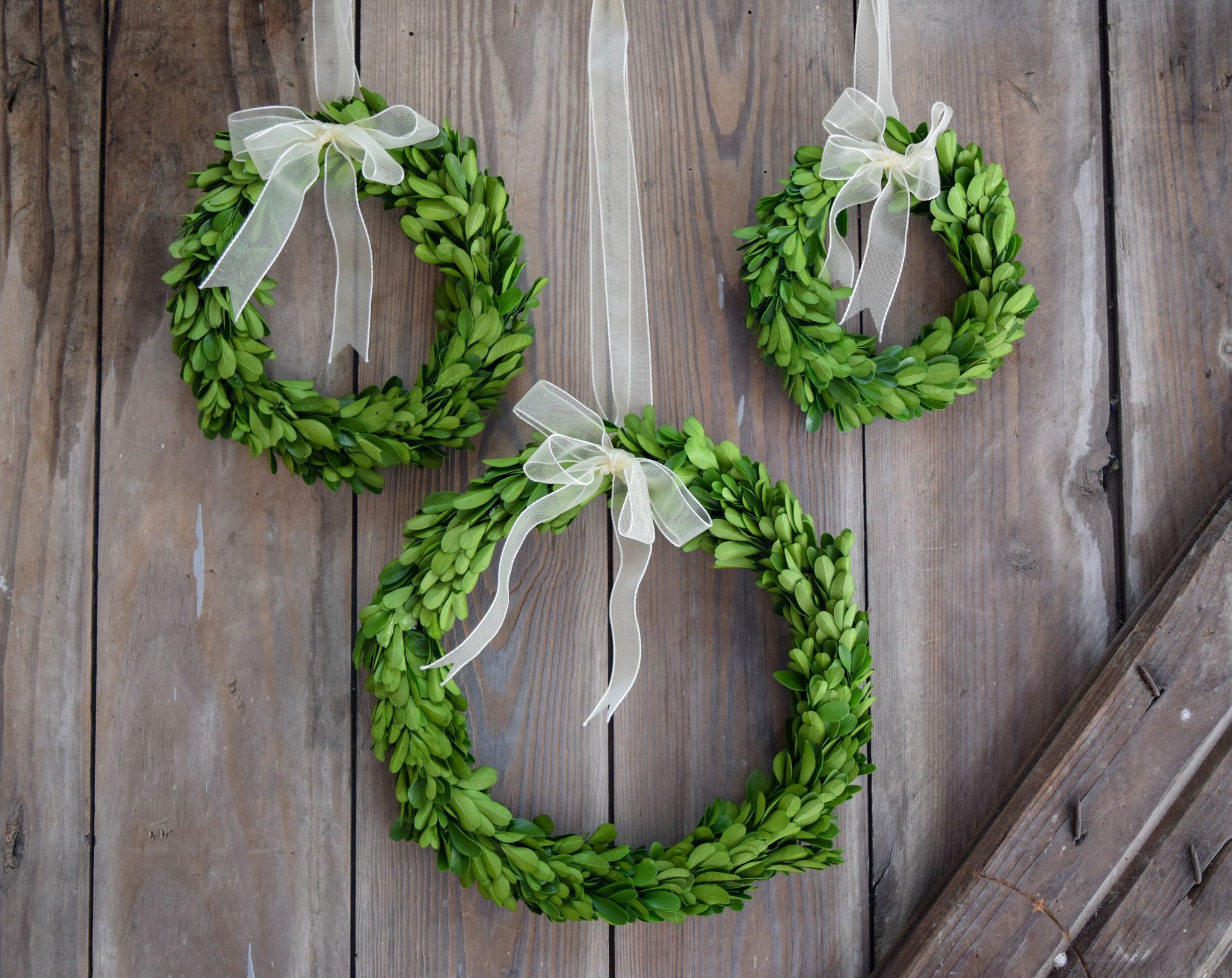 Boxwood Wreath - 3 Sizes