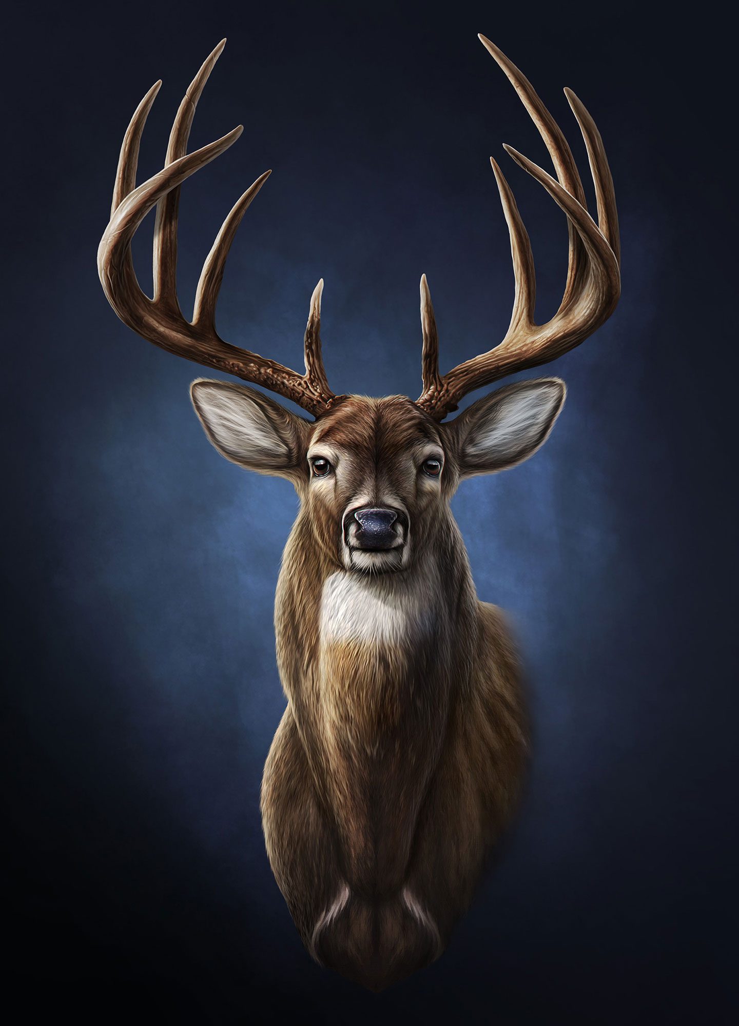 Vintage Art Collection: Deer