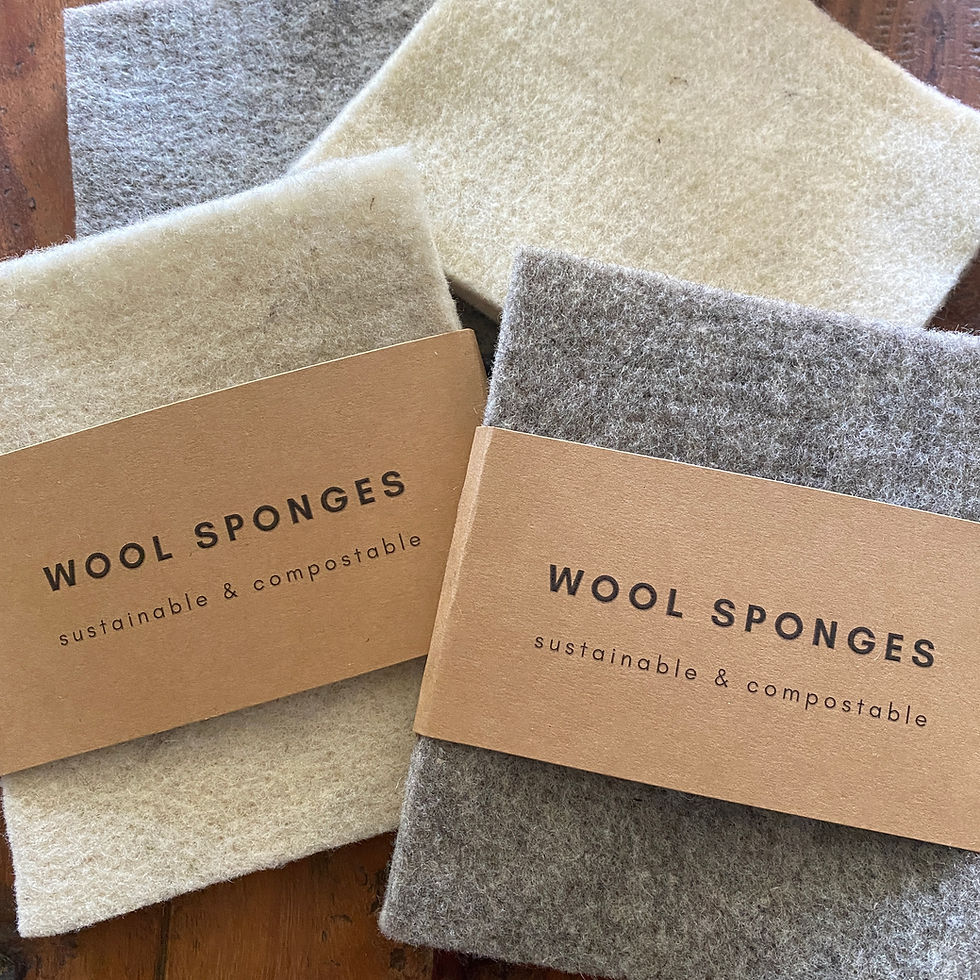 Wool Sponge Boxed - Large