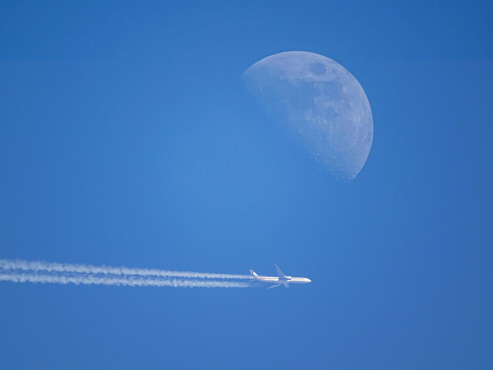 To The Moon & Back Art Poster