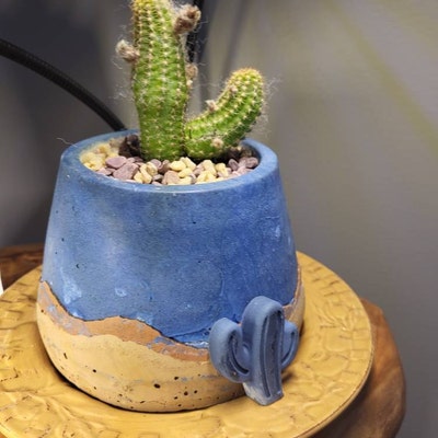 Desert Pot