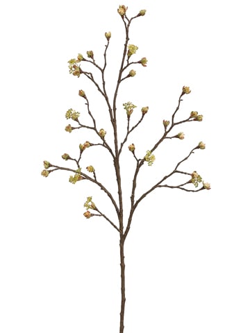Budding Branches 42" Bundle/2