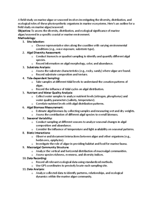 Seagrass & Jute Round Basket w/ Handle